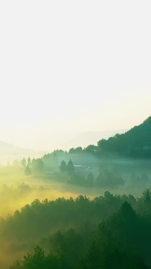 航拍唯美清晨森林云雾缭绕视频素材37秒视频