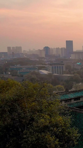 航拍夕阳下的武汉大学樱顶老斋舍风光视频