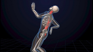 脊椎疼痛人体骨骼3D医疗解析14秒视频