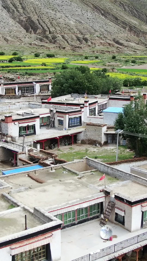 西藏藏式村庄航拍视频油菜花113秒视频