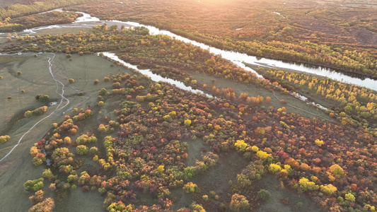 航拍亚洲第一湿地根河湿地秋景视频