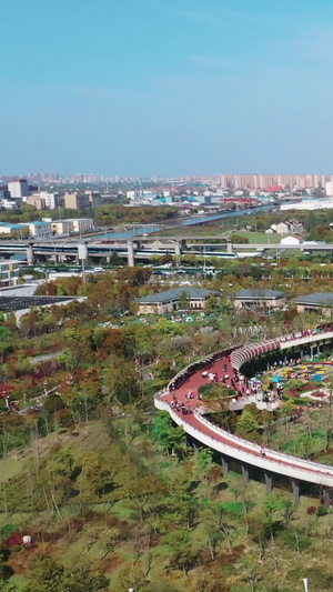 上海浦江郊野公园奇迹花园区46秒视频