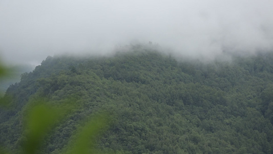 深山雨林夏季雨季云雾缭绕视频