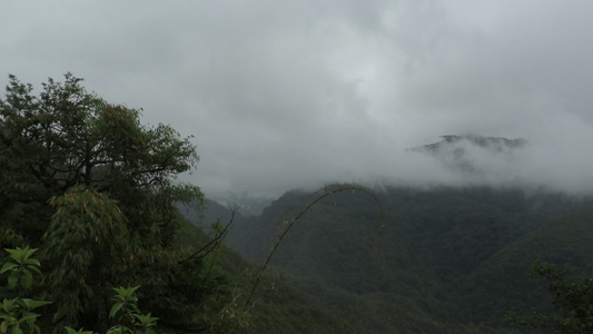 深山雨林夏季雨季云雾缭绕视频