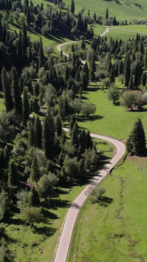 5A景区那拉提景观区盘龙谷道公路森林航拍视频自驾旅游62秒视频