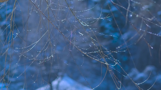 雪后的风景视频