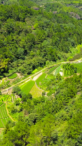 4A风景区丽水东西岩山谷梯田航拍合集浙江旅游视频