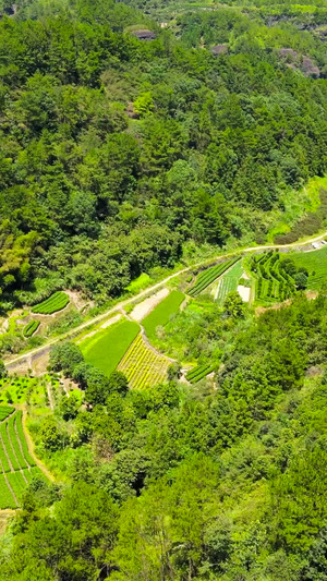 4A风景区丽水东西岩山谷梯田航拍合集浙江旅游163秒视频