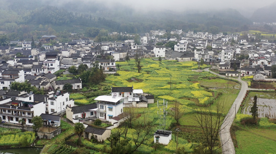 安徽黄山黟县碧山村春季风光视频