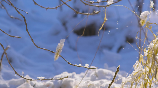 雪后的风景视频