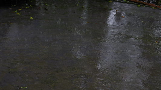 下雨天涨水4K视频