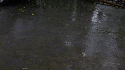 下雨天涨水4K视频