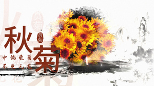 简洁水墨重阳节传统节日宣传展示26秒视频