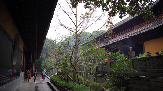 浙江舟山普陀山普济寺禅院4L风景视频视频