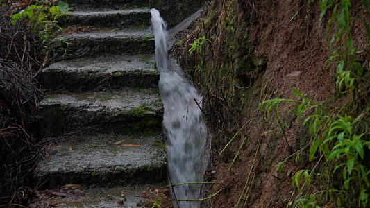 下雨天涨水4K视频