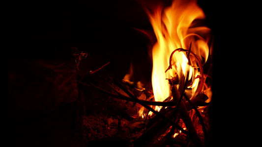 火焰灶火4K素材视频