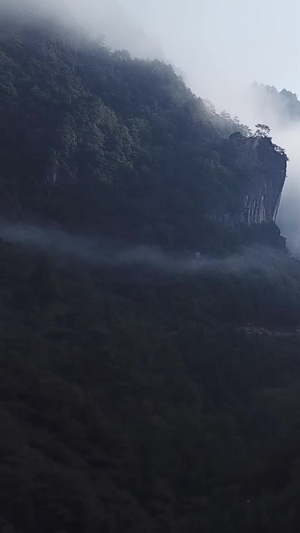 光雾山原始森林大山航拍5A旅游景点31秒视频