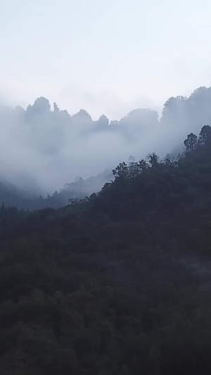 光雾山原始森林大山航拍烟雾缭绕31秒视频