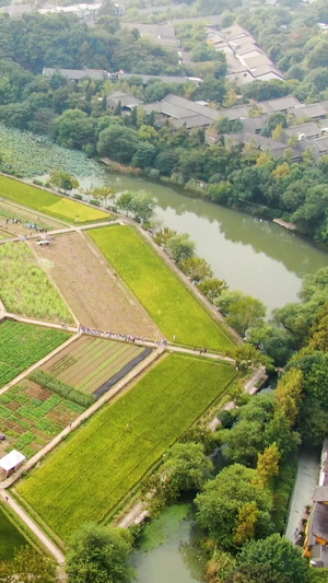 航拍杭州八卦田景区18秒视频