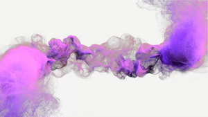 紫色大气简约唯美logo展示会声会影模板6秒视频