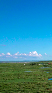 5k航拍蓝天下碧绿的草原上蜿蜒的河流九曲十八湾十八弯视频