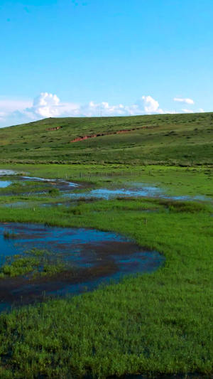 5k航拍蓝天下碧绿的草原上蜿蜒的河流九曲十八湾九曲湾26秒视频