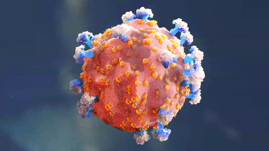 3d病毒细胞动画视频视频