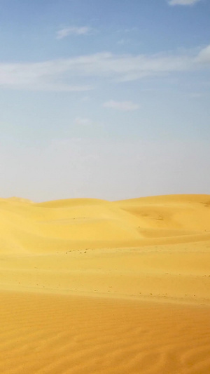 蓝天白云下行驶在荒芜沙漠的骆驼队39秒视频