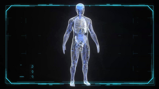 3d人体结构动画视频视频