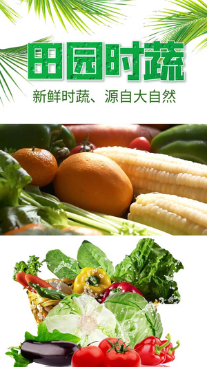新鲜蔬菜水果视频海报20秒视频