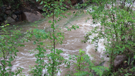 实拍暴雨后洪水泥石流河流视频