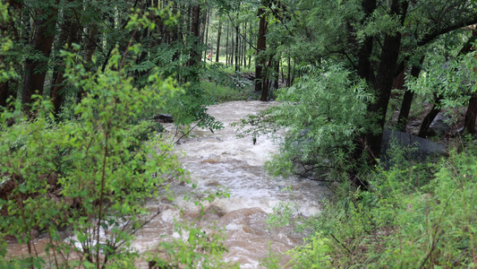 实拍暴雨后洪水泥石流河流视频