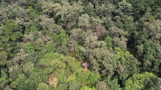 航拍山地丛林视频