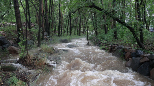 实拍暴雨后洪水泥石流河流视频