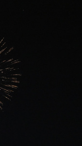 跨年夜烟花夜空中绽放表演新年快乐视频
