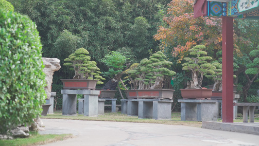 古典建筑屋檐特写与盆景公园的花草树木视频