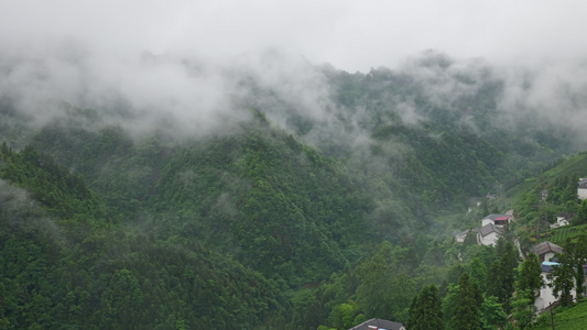 村庄的早晨视频