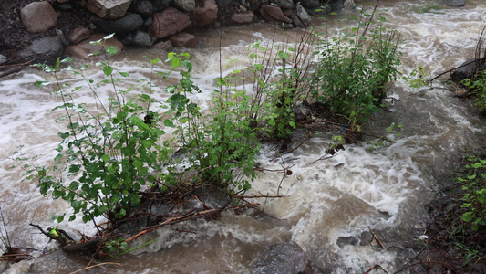 实拍暴雨后洪水泥石流河流视频