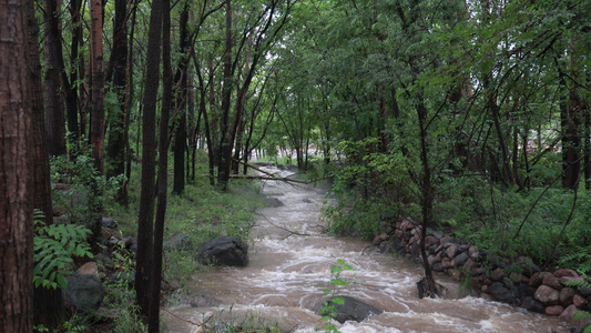 实拍暴雨后洪水泥石流河流视频