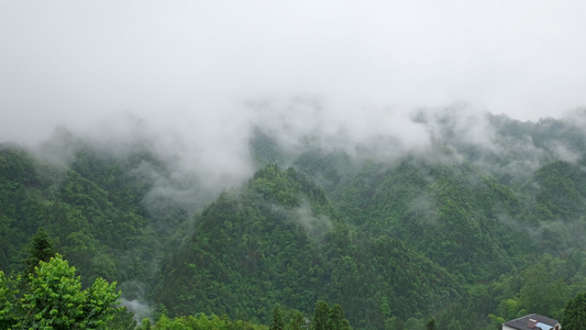 村庄的早晨视频