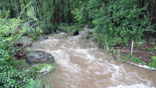 实拍暴雨后洪水泥石流河流视频