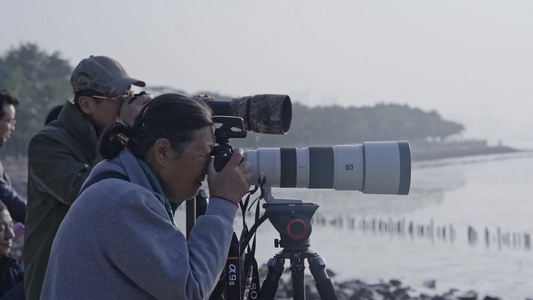 老年摄影爱好者在深圳湾湿地公园拍摄[三四十岁]视频