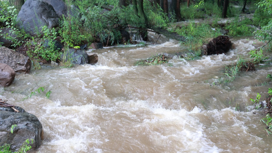 实拍暴雨后洪水泥石流河流视频