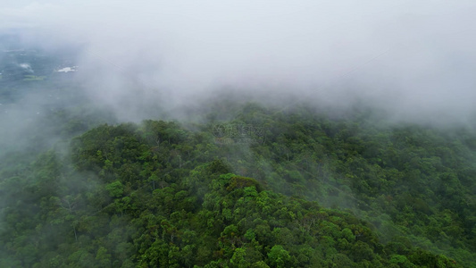 海南保亭黎族自治县热带雨林云海高视角航拍森林风景视频