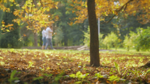 低角度拍摄秋天公园里散步的情侣 11秒视频