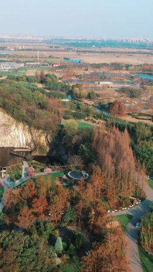 上海松江辰山植物园矿坑植物景观城市风光52秒视频