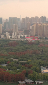 慢镜头航拍武汉城市绿肺东湖视频众志成城视频