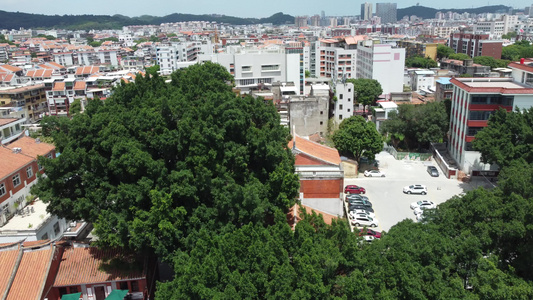 泉州钟楼古街航拍风景视频