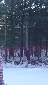 多角度拍摄滑雪场滑雪合集【该视频无肖像权，请勿商业】冬季运动视频