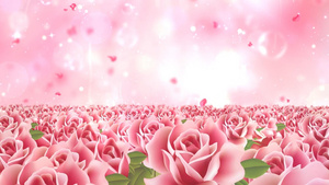 七夕粉色温馨唯美花海动态粉色粒子光效花瓣上升背景视频30秒视频